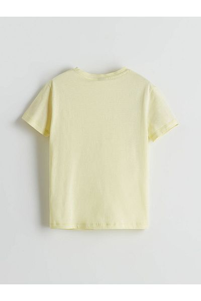 LC Waikiki Crew Neck Boy's T-Shirt
