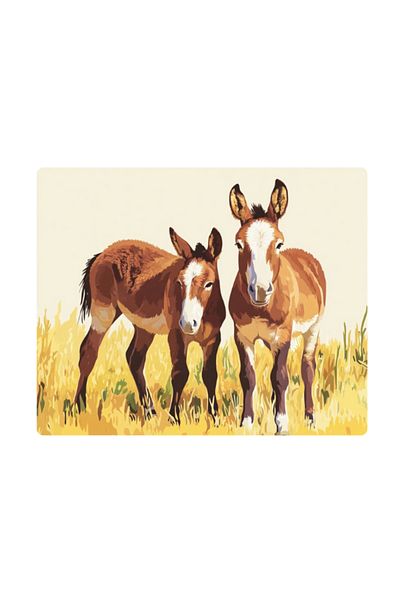 lili hediyelik Donkeys Printed Mousepad 17,5X21,5 cm