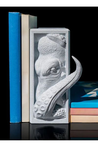 3D Brothers أمين المكتبة الحكيم - ديكور مكتبة أنيق