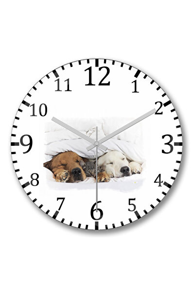 BASKI DÜNYASI مجموعة القطط ثلاث ساعات حائط من الزجاج الحقيقي المنحني