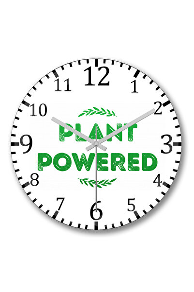BASKI DÜNYASI Ceas de perete alimentat cu plante din sticlă autentică bombată