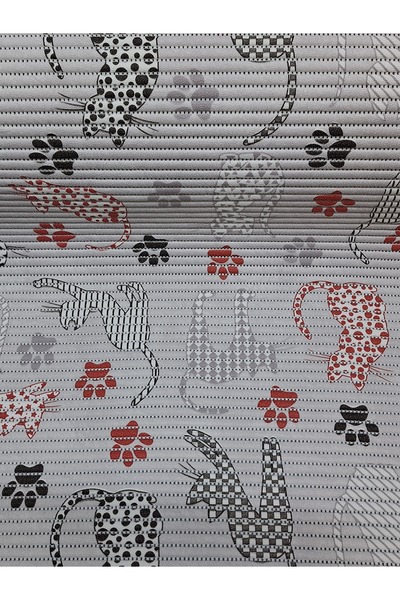 Başak Ev Tekstili Aqua Mat Islak Zemin Anti Bakteriyel Kaydırmaz Çok Amaçlı Paspası 65 CM Eninde