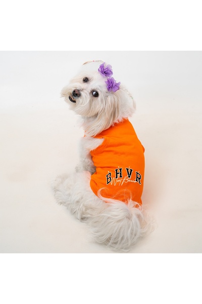 Buddy Store Kedi & Köpek Kıyafeti Giysileri Kıyafetleri - Baskılı Turuncu Atl...