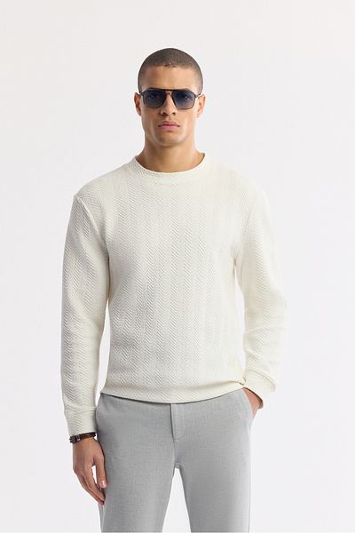 Avva Men's Ecru Crew Neck Jacquard Elastane Sweatshirt A51Y1228