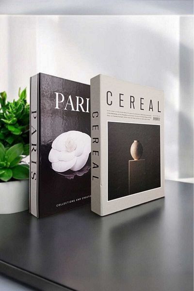 BayCazip Decorative Book Look Box Set of 2 Decorative Book Looking Box
