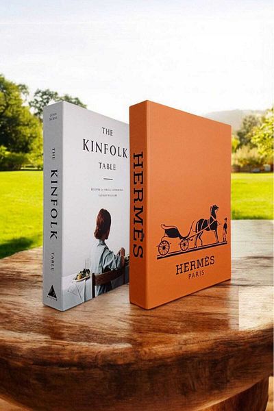 BayCazip Decorative Book Look Box Set of 2 Decorative Book Looking Box