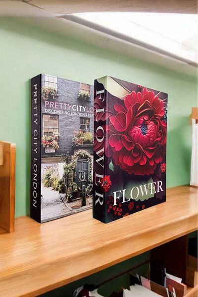 BayCazip Decorative Book Look Box Set of 2 Decorative Book Looking Box