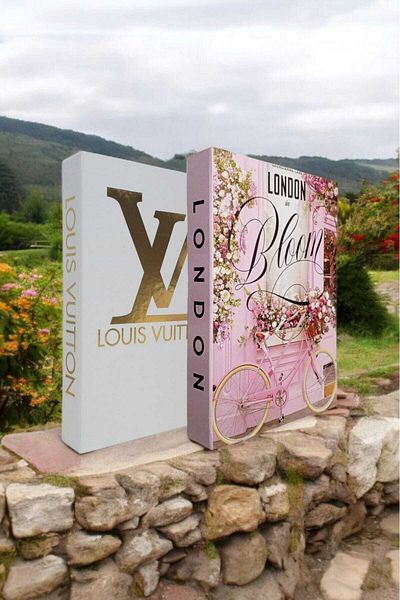 BayCazip Decorative Book Look Box Set of 2 Decorative Book Looking Box