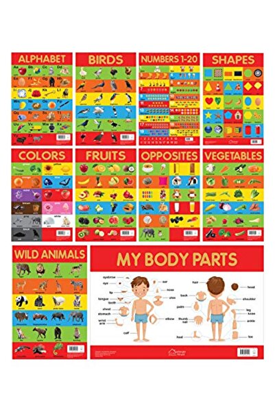 Wonder House Books مجموعة من 10 مخططات تعليمية للتعلم المبكر للأطفال، مثالية ...