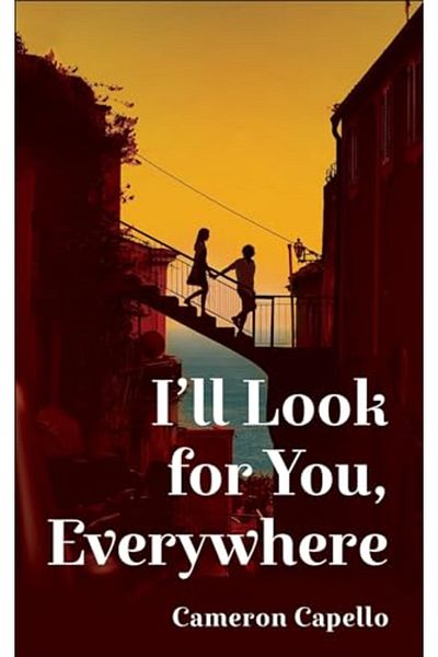 Pan Macmillan Ill Look For You Everywhere
