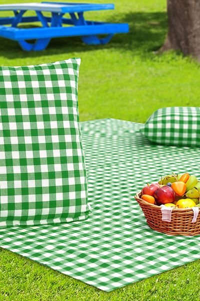 Soft Kare Cluster of 2 45*45cm Cushions with Large Checkered Picnic Mat