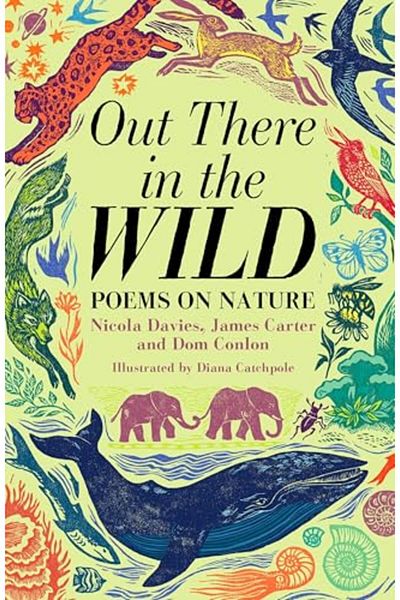 Pan Macmillan Out There In The Wild