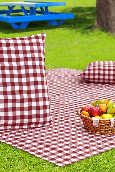 Soft Kare Cluster of 2 45*45cm Cushions with Large Checkered Picnic Mat