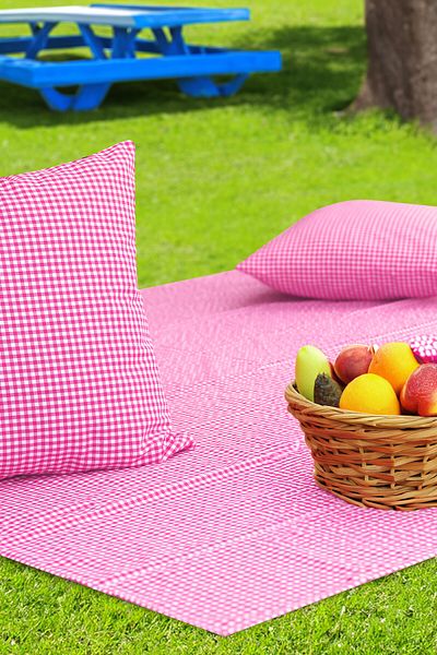 Soft Kare Gingham 170*170 Picnic Mat and 2Pcs 45*45cm Cushions