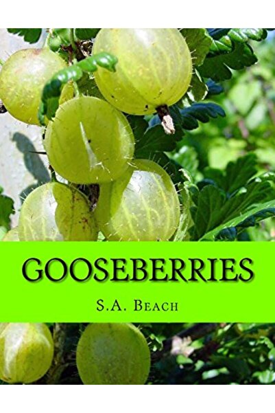Createspace Independent Publishing Platform Gooseberries