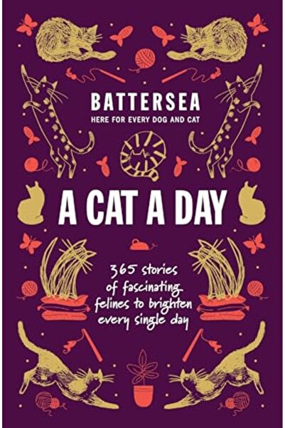 welbeck منزل كلاب وقطط باترسي - قطة في اليوم 365 قصة عن قطط رائعة لإضفاء البه...