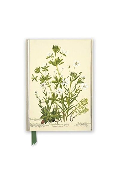 Flame Tree Publishing ربي شارلوت كوان بيرسون ستيتشورتس وودروف و بيبر ورت