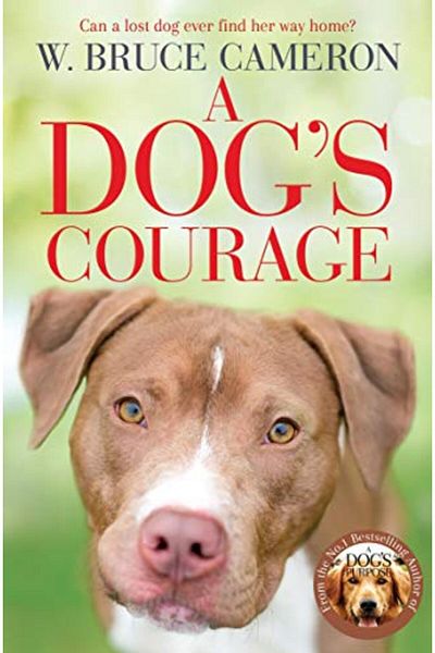 Pan Macmillan Dogs Courage