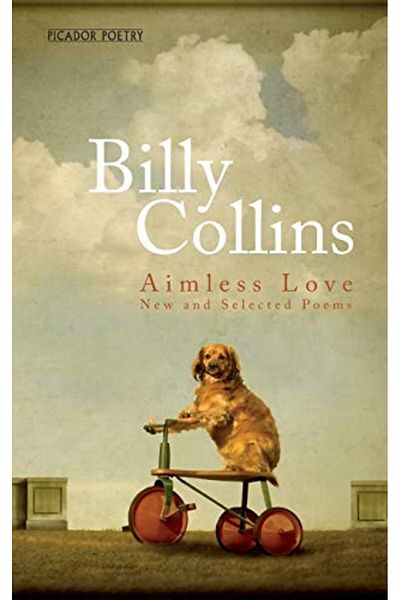 Pan Macmillan Aimless Love