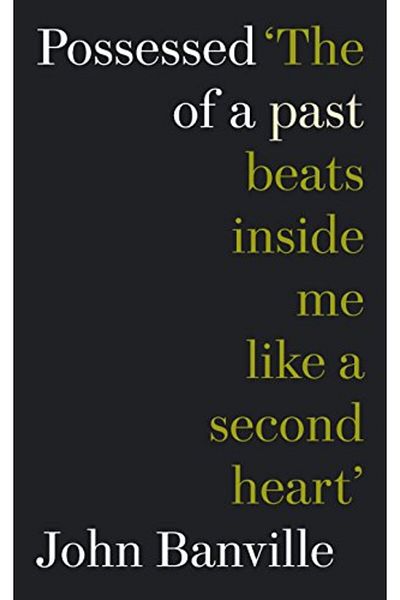 Pan Macmillan Possessed Of A Past A John Banville Reader