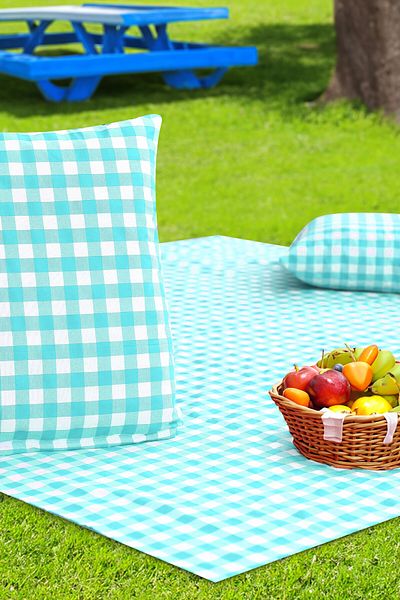 Soft Kare Cluster of 2 45*45cm Cushions with Large Checkered Picnic Mat