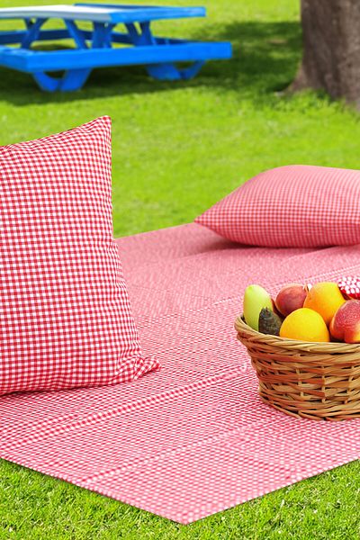 Soft Kare Gingham 170*170 Picnic Mat and 2Pcs 45*45cm Cushions