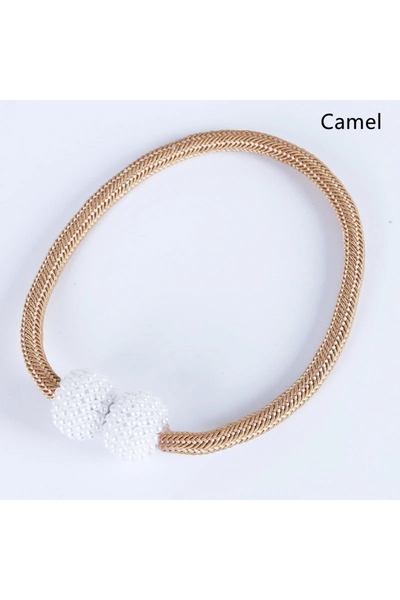 Choice 2 قطعة من مشبك الستارة المغناطيسي على شكل جمل، 1/2 قطعة من مشبك الستار...