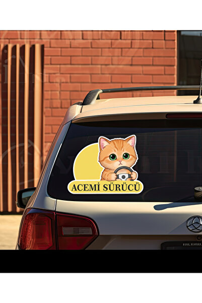 Parti Tasarla Acemi Sürücü Sevimli Kedi Araba Etiketi & Sticker