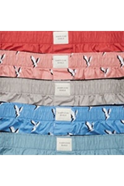 AMERICAN EAGLE AEO Stretch Boxer Short 5-Pack