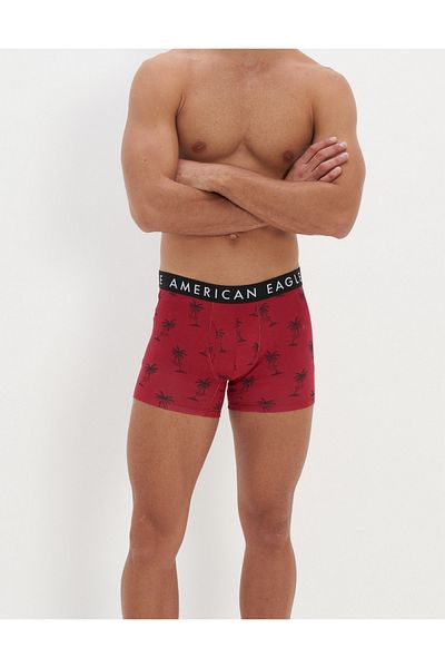 AMERICAN EAGLE AEO 4.5" Classic Boxer Brief 3-Pack