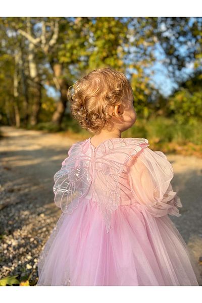 ALYRA Baby Girl Children's Long Sleeve Winged Birthday Party Wedding Special Day Tulle Tutu Lined Princess Dress