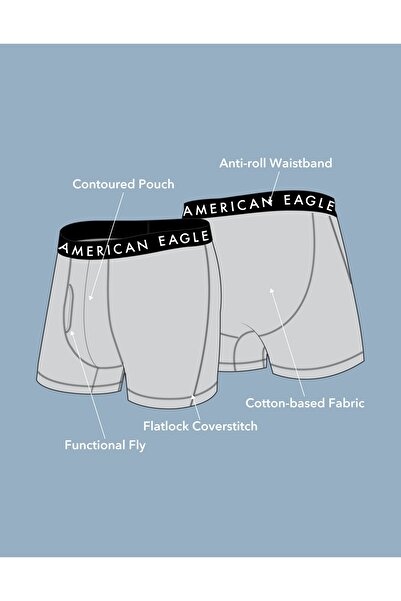 AMERICAN EAGLE AEO 4.5" Classic Boxer Brief 5-Pack