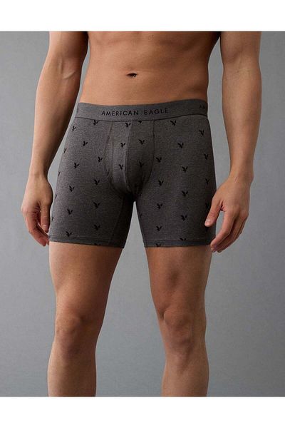 AMERICAN EAGLE AEO Men's Tiny Eagles 6" Classic Boxer Brief