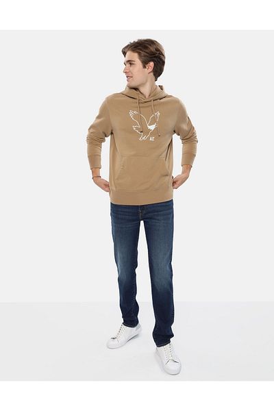 AMERICAN EAGLE AE Graphic Hoodie