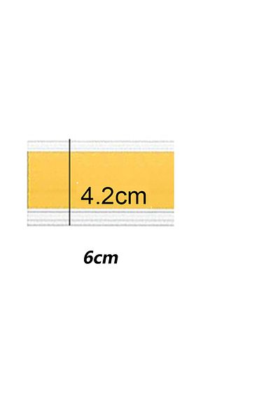 Choice 4.2cm6cm 30pcs Plastic PVC Shelf Data Strips Clip Holder Merchandise Price Talker Sign Label Display