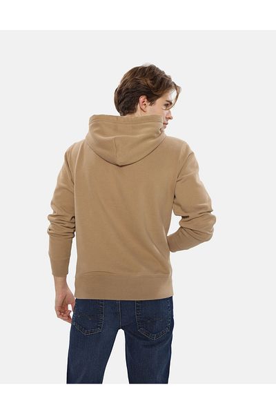 AMERICAN EAGLE AE Graphic Hoodie