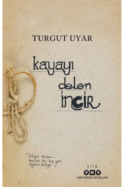 Yapı Kredi Yayınları Kayayı Delen İncir