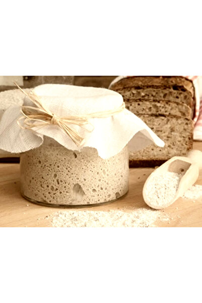 seren kitchen Organik Ekşi Hamur Mayası 5 Yıllık Aktif - 100 gram