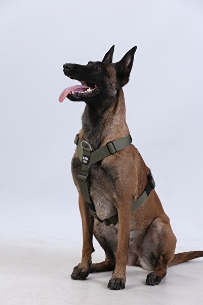 AlphaTact Tactfit Harness-Çekme Önleyici-Göğüs Tasması-Tüm Irklar