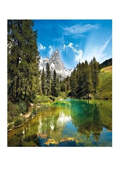 babydoor ألعاب 80413 لغز للكبار مكون من 1000 قطعة