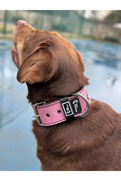 MgTasma Genuine Buffalo Leather Name Printed Neck Collar