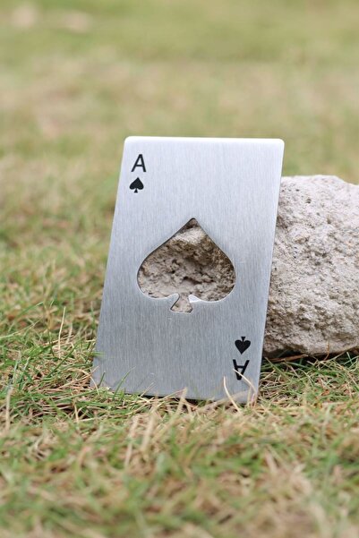 Weather Forecast Portable Gray Spade Ace Bottle Opener in Steel Wallet Cin655Gr