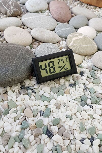 Weather Forecast Hygrometer Dijital Puro kutu Buzdolabı Sıcaklık Nem ölçer thr142