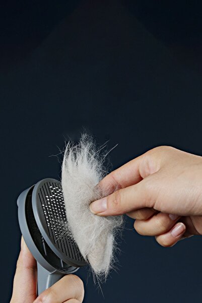 Weather Forecast Automatic Cleaning Professional Pet Brush Cat Dog Comb Cin431