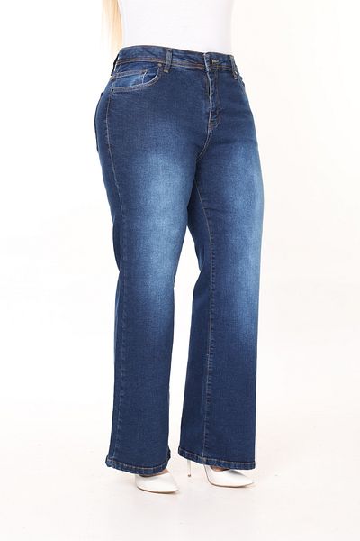 Era Lisa Regular Cut Straight Leg High Waist Women's Plus Size Jeans