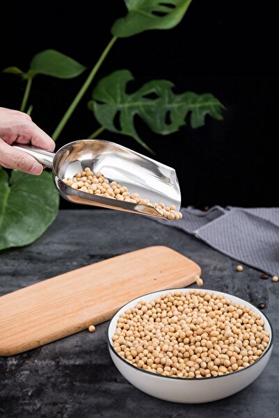 Chavin Steel 23.5 cm No: 2 Spice Nuts Pulses Ration Shovel Cin791
