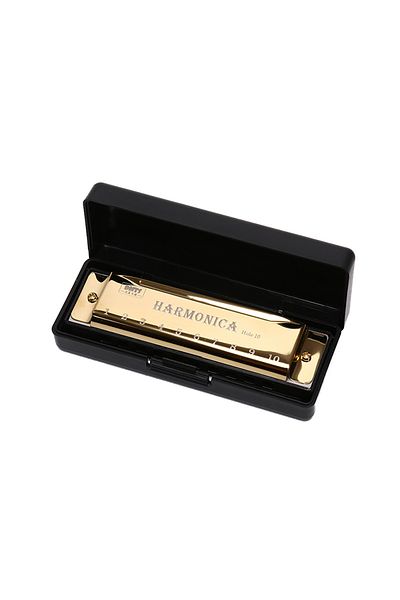 Miwayer Golden Harmonica Key of C 10 Hole Diatonic Harmonica C with Case for Beginner Students Kids Gift wit