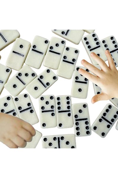 Choice Double Six Domino Set Classic Board Game Toy Family 28 Dominoes in Portable Case for Leisure Gift...