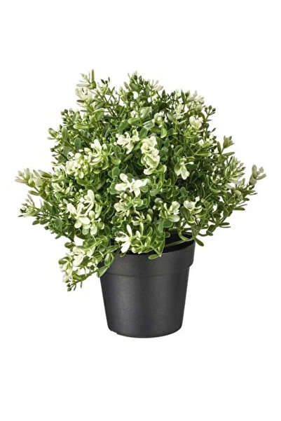 IKEA Premium Ürün Dayanıklı Kaliteli Üretim Modern Şık Tasarım Okaliptüs İç Dış Mekan Yapay Bitki