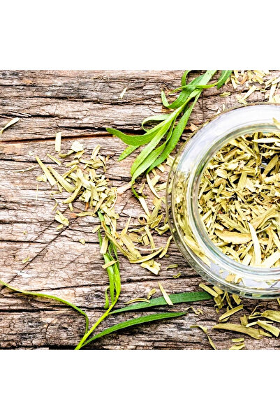 Erzurum İpekgurme Erzurum İpek Gurme Kuru Tarhun Otu -Yeşil Altın-Dargun, Ejder Otu (Doğal Kurutulmuş) 100 Gr-İPK 4974